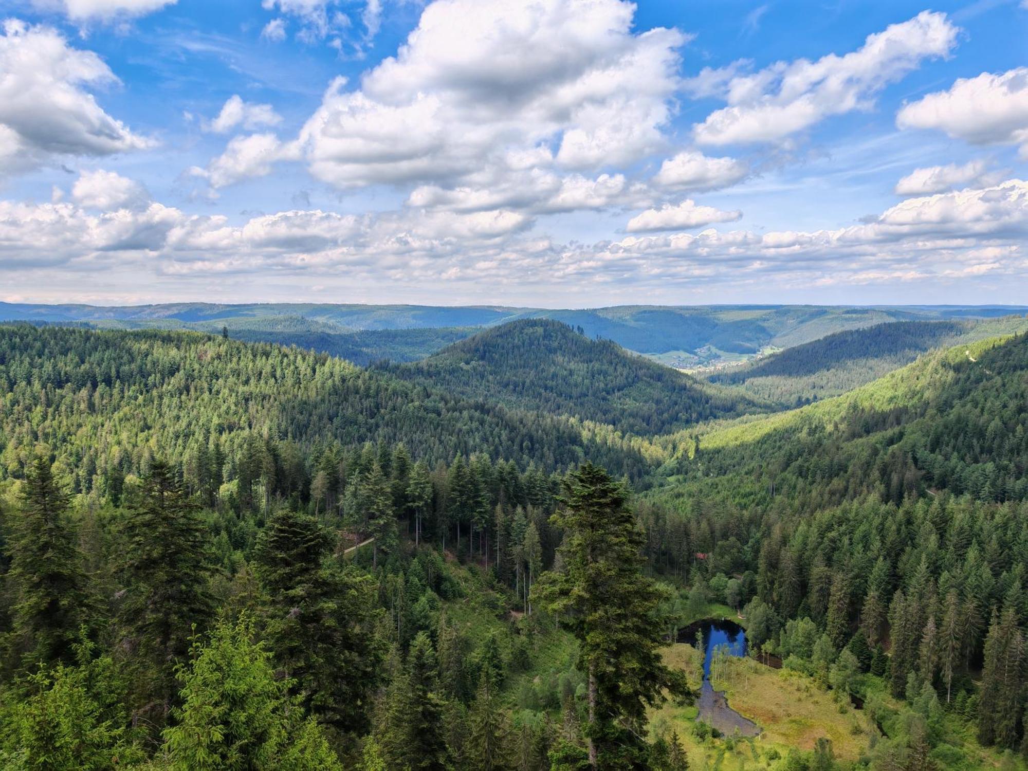 Gasthof "Zum Steinwald" Loßburg Exterior foto
