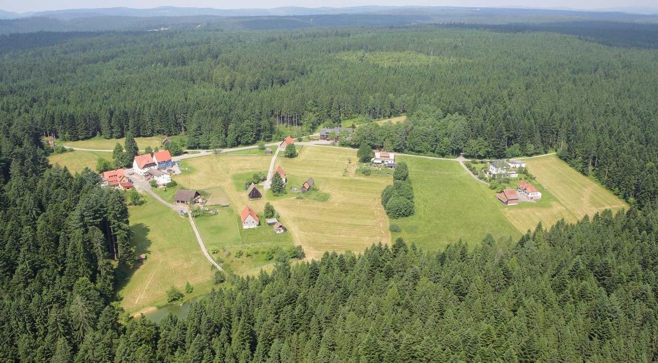 Gasthof "Zum Steinwald" Loßburg Exterior foto
